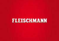 Fleischman / H0 & N Spur