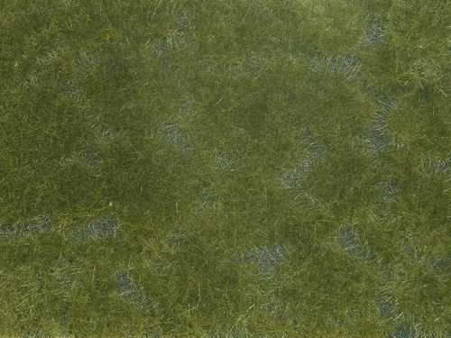 Bodendecker-Foliage dunkelgrün
