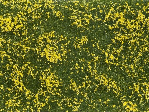 Bodendecker-Foliage Wiese gelb